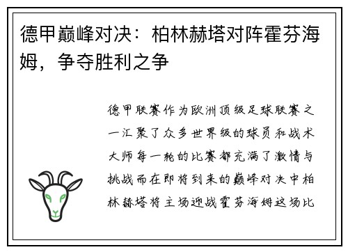 德甲巅峰对决：柏林赫塔对阵霍芬海姆，争夺胜利之争