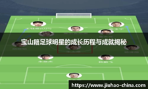 宝山籍足球明星的成长历程与成就揭秘