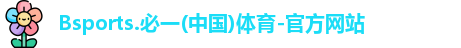 B体育官网
